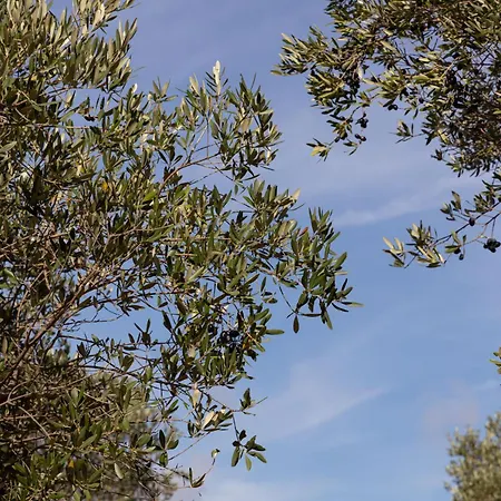 Farmház Terreamare Porto Cesareo
