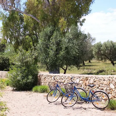 Terreamare Farmház *