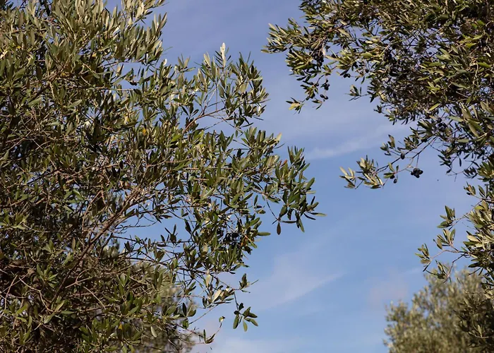 Farma Terreamare Porto Cesareo