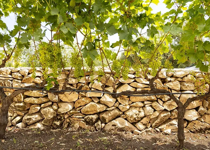 Farma Terreamare