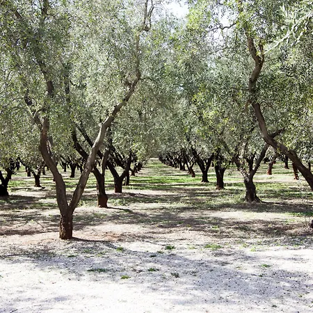 Farma Terreamare *