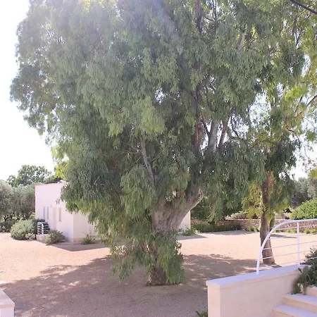 Farm stay Terreamare *
